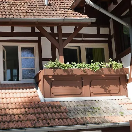 Haus Nilson Appartement Gengenbach Buitenkant foto